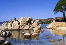 米兰官方网站 -关键时刻意大利杯焦点战，圣安东尼奥马刺复出首秀，震撼外界，纪律约束更严格的简单介绍